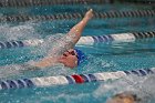 Swim vs Bentley  Wheaton College Swimming & Diving vs Bentley University. - Photo by Keith Nordstrom : Wheaton, Swimming & Diving